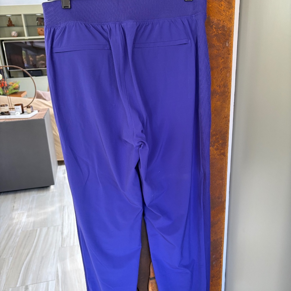 Athleta Lined Street Pants – Warm Fleece Lining – Size S